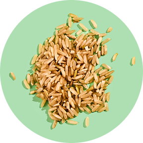 Pile of brown rice on a green background.