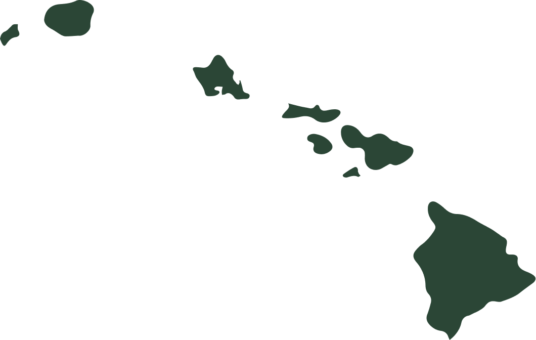 Silhouette map of the Hawaiian Islands on a white background.