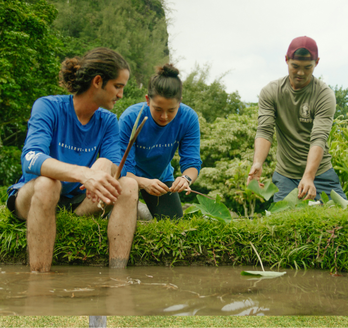 People engaged in planting activity near a waterbody with lush greenery surrounding them.