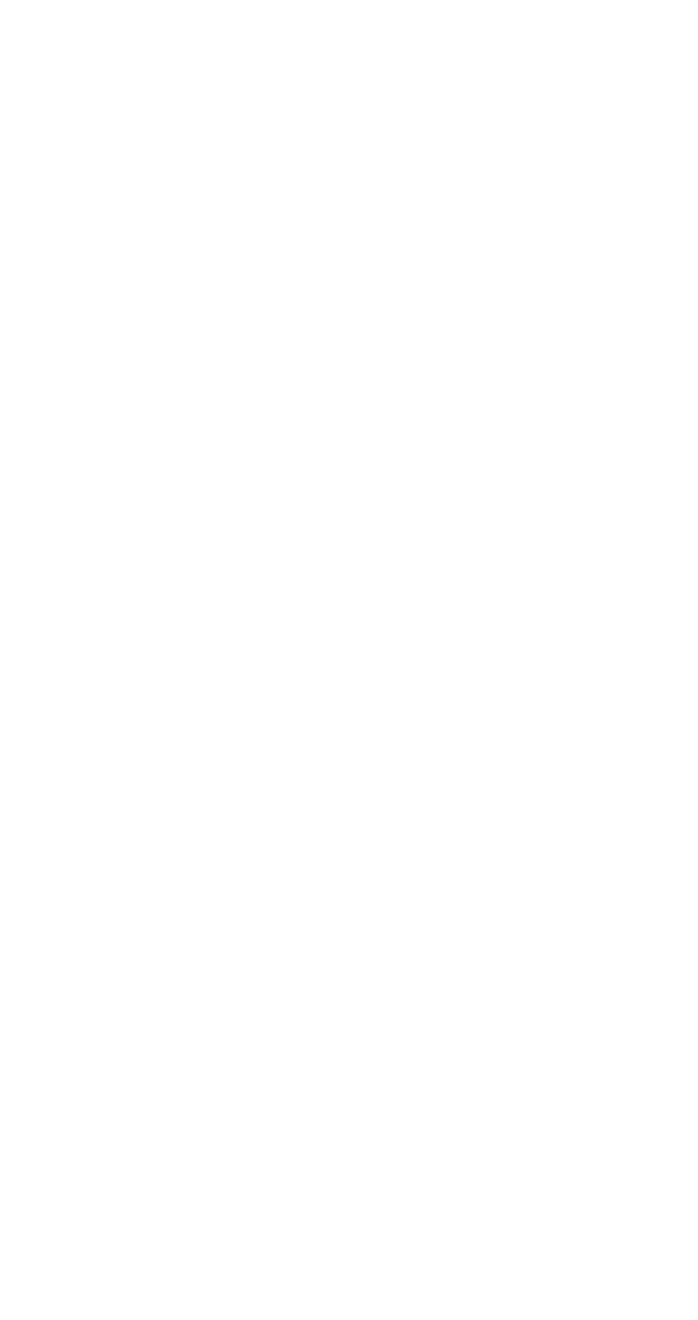 Banana Bread Chocolate Chip