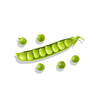 pea protein