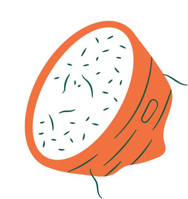 Illustration of a sliced carrot with visible green specks inside.